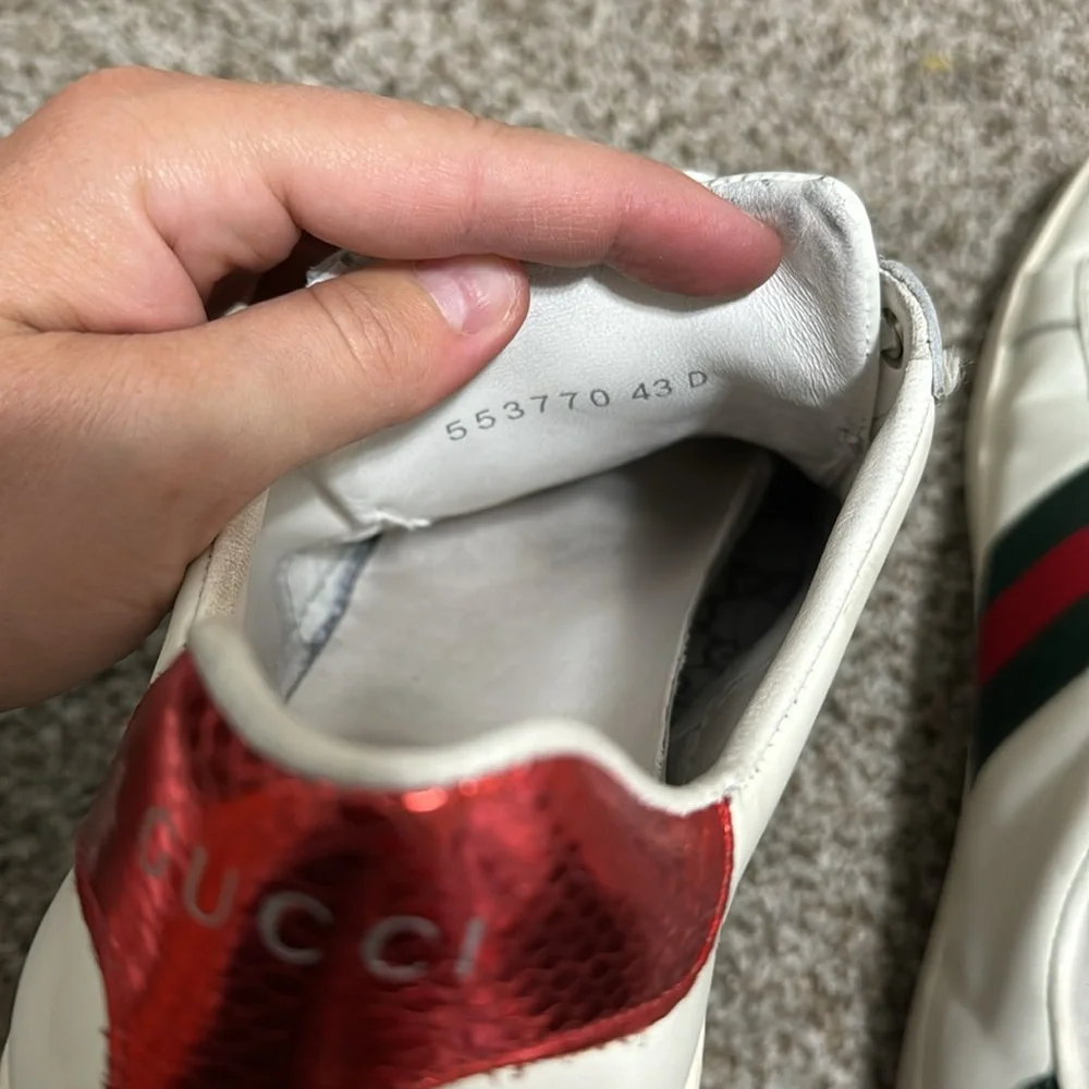 Gucci iconic low